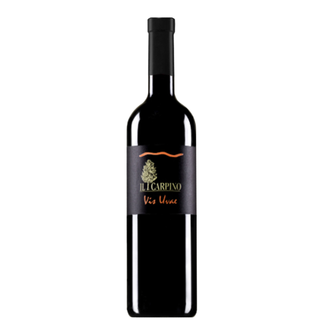 vis uvae il carpino orange wines friuli