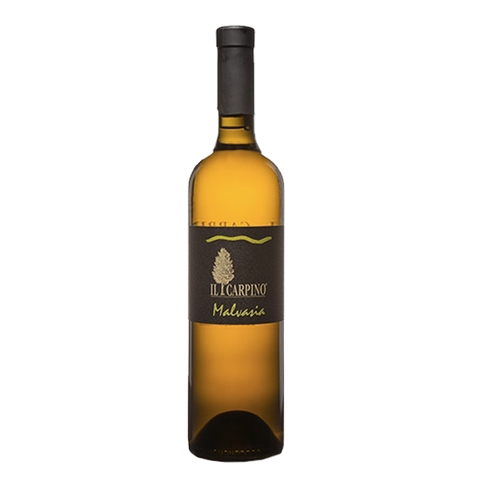 il carpino malvasia friuli wines